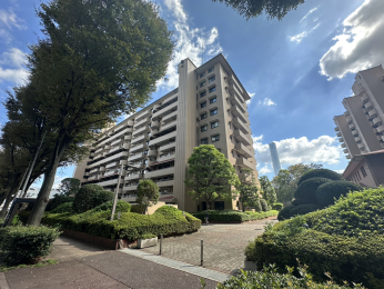 nOώʐ^ K̓}V䂦A~n⋤p肵ĂAdEi܂B