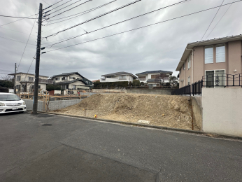 ���n�y�n�ʐ^ ���̗͂ΖL���ŁA�l�G�̈ڂ낢���������鉸�₩�ȗ��n�ł��B